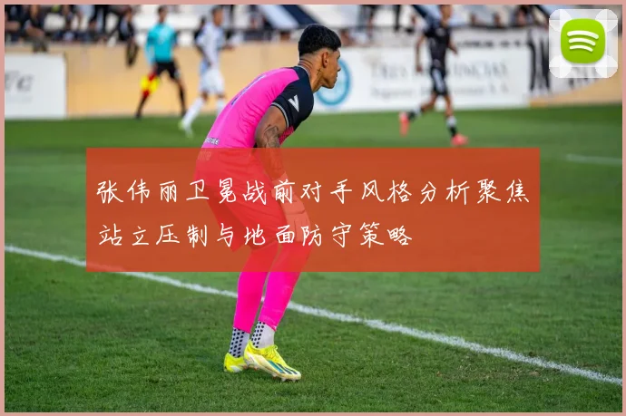 张伟丽卫冕战前对手风格分析聚焦站立压制与地面防守策略